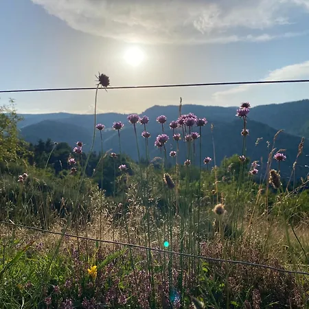De Charme En Plein Coeur De L'ardeche Verte * La Rochette (Ardeche)